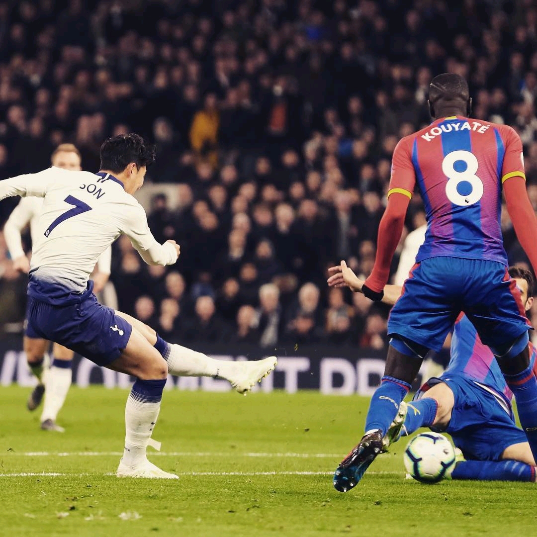 球生态系统 球生态系统